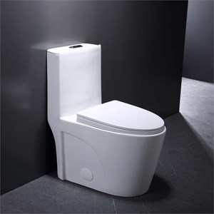 Afuera Living White Ceramic One-Piece Dual Flush cUPC Toilet 1.1/1.6 GPF