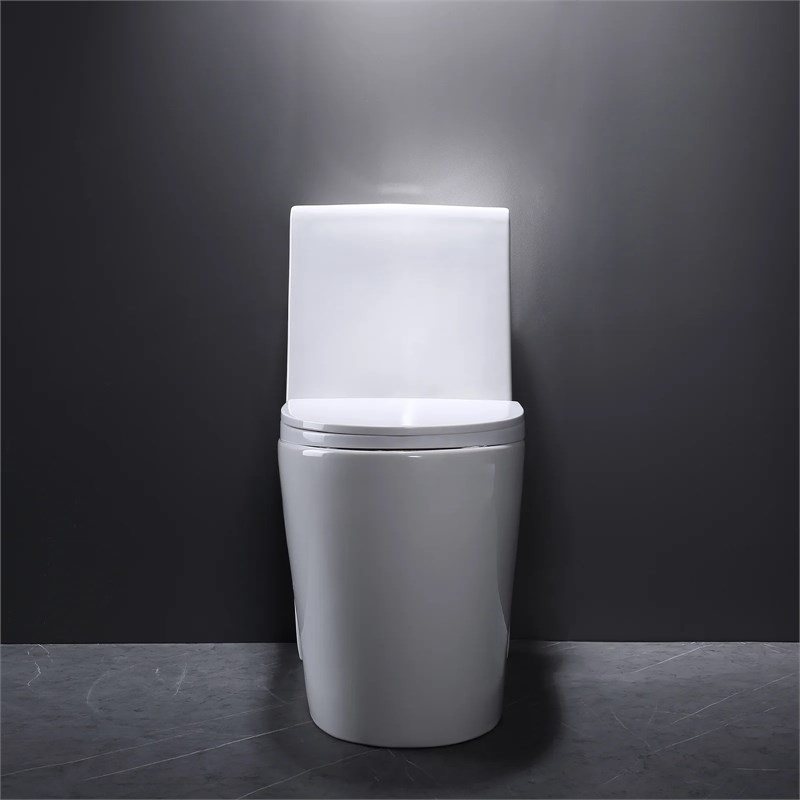 Afuera Living White Ceramic One-Piece Dual Flush cUPC Toilet 1.1/1.6 GPF