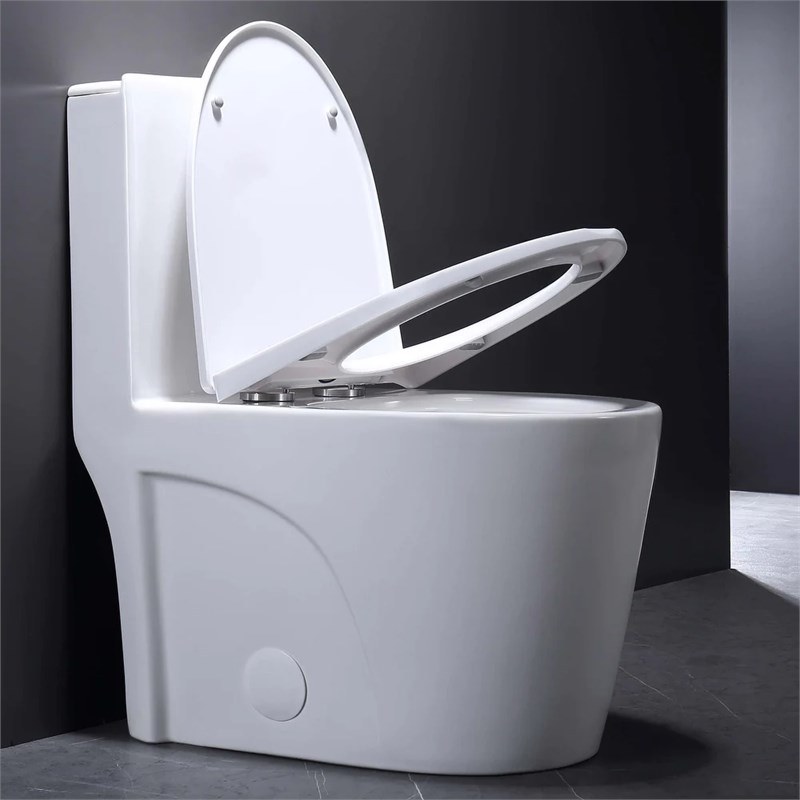 Afuera Living White Ceramic One-Piece Dual Flush cUPC Toilet 1.1/1.6 GPF