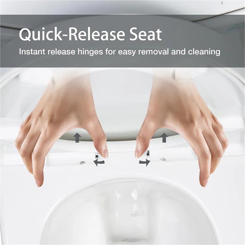Afuera Living White 1-Piece Dual Flush Elongated Toilet 3/6L Slow-Close Seat