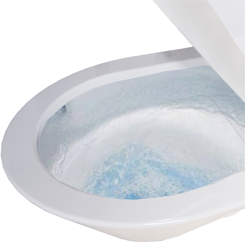 Afuera Living White 1-Piece Dual Flush Elongated Toilet 3/6L Slow-Close Seat