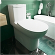 Afuera Living White Ceramic 1-Piece Dual Flush Toilet 11.8-Inch Rough-In