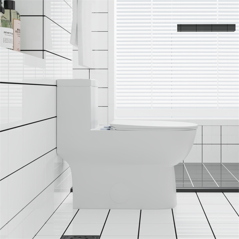 Afuera Living White Ceramic 1-Piece Dual Flush Toilet 11.8-Inch Rough-In