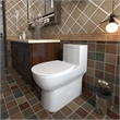 Afuera Living White Ceramic 1-Piece Dual Flush Toilet 11.8-Inch Rough-In