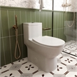 Afuera Living White Ceramic 1-Piece Dual Flush Toilet 11.8-Inch Rough-In