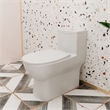 Afuera Living White Ceramic 1-Piece Dual Flush Toilet 11.8-Inch Rough-In