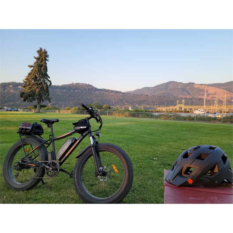 Afuera Living 750W Fat Tire Electric Bike 48V 13Ah Battery 26x4.0 Inch Tyres