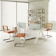 Afuera Living Stainless Steel Rattan & PU Leather Dining Chairs Set of 2