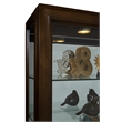 Pulaski Curios 5 Shelf Curio Cabinet with Sliding Door in Deep Brown