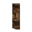Furinno ECON 3-Tier Freestanding Corner Shelf Bookcase in Bookshelf Amber Pine