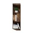 Furinno ECON 3-Tier Freestanding Corner Shelf Bookcase in Bookshelf Amber Pine