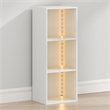 Furinno LUDER 3-Cube LED Lights Closet Organizers and Storage. White