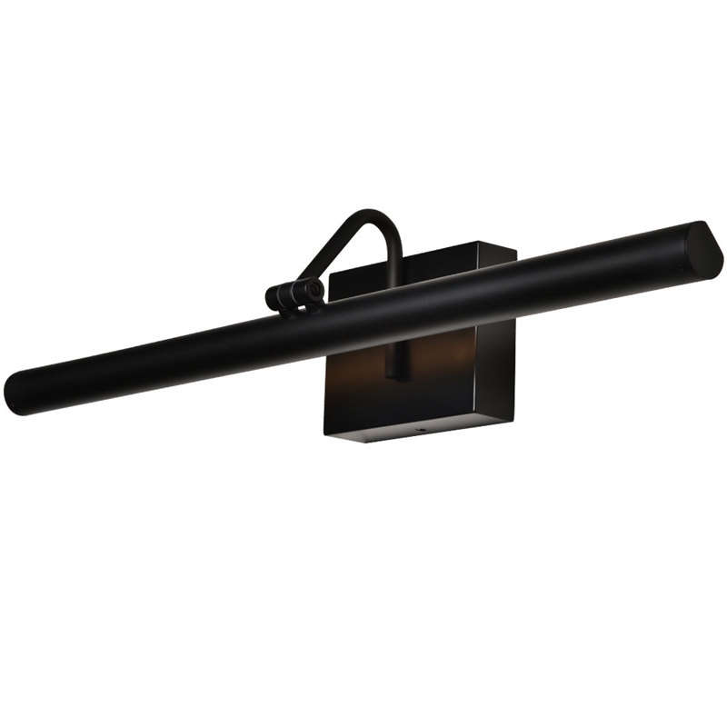 Procyon 24