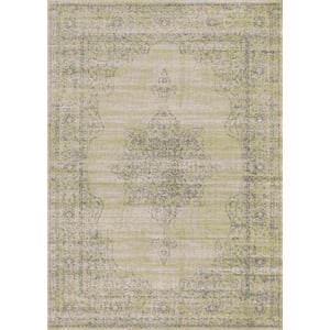 Radici USA Colosseo Traditional Medallion Beige Rectangular Polypropylene Area Rug 7'10&quot x 10'6&quot
