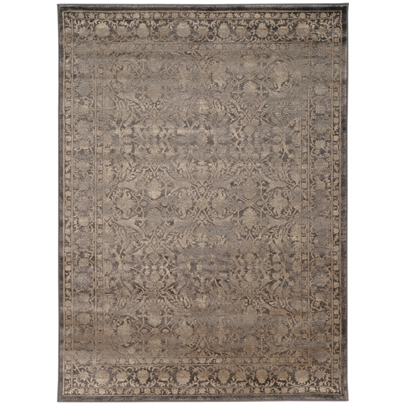 Radici USA Colosseo Traditional Distressed Brown Rectangular Polypropylene Area Rug 5'3