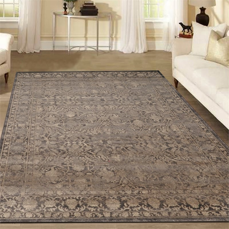 Radici USA Colosseo Traditional Distressed Brown Rectangular Polypropylene Area Rug 7'10