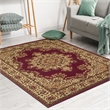 Radici USA Castello Traditional Medallion Burgundy Red Polypropylene Area Rug 5'5