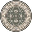 Radici USA Pisa Traditional Oriental Light Green 5'3