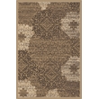 Radici USA Pisa Modern Transitional Beige Rectangular Polypropylene Area Rug 7'10