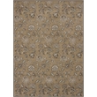 Radici USA Pisa Traditional Floral Beige Rectangular Polypropylene Area Rug 7'10
