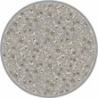 Radici USA Pisa Botanical Floral Gray 5'3