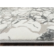 Livigno 1240 Transitional Marbled Gray Polypropylene Area Rug 5'3