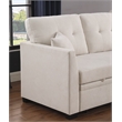 Reversible Sleeper Sectional Sofa with Storage Chaise and Pull Out Sleeper Bed