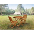 SECM3CWNA - Dining Table and 2 Folding Side Chairs - Natural Oil Finish