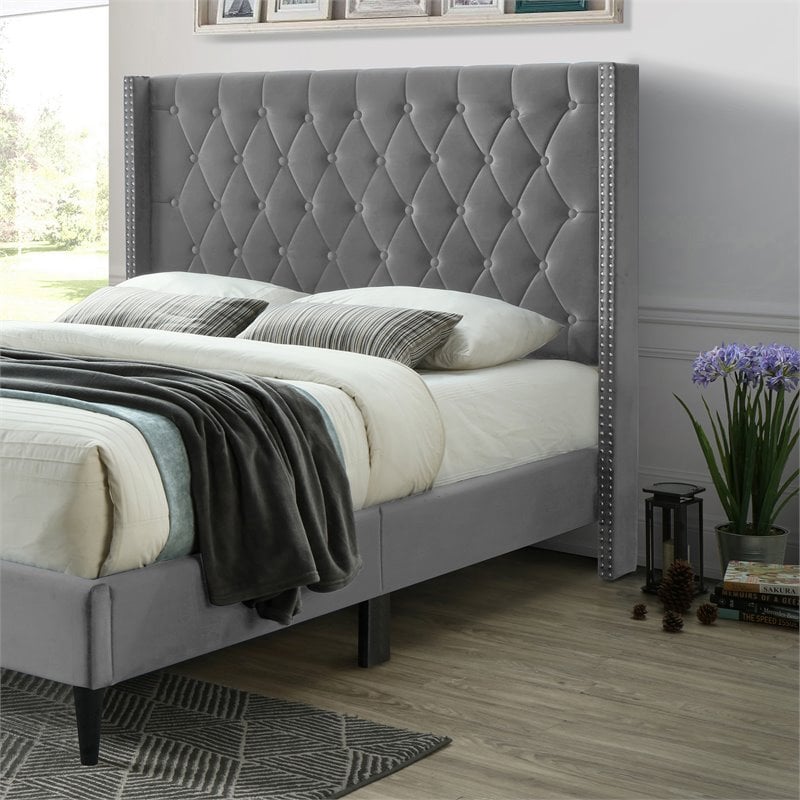 Better Home Products Amelia 62 x 86 Velvet Tufted Queen Platform Bed in Gray