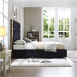 Serenity Queen Velvet Bed with Gold Metal Frame in Black Color