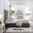 Serenity King Velvet Bed with Silver Metal Frame in Gray Color