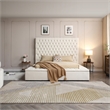Cosmopolitan Queen Velvet Tufted Upholstered Storage Platform Bed in Cream