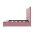 Cosmopolitan Queen Velvet Tufted Upholstered Storage Platform Bed in Pink