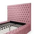 Cosmopolitan Queen Velvet Tufted Upholstered Storage Platform Bed in Pink