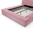 Cosmopolitan Queen Velvet Tufted Upholstered Storage Platform Bed in Pink