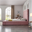 Cosmopolitan King Velvet Tufted Upholstered Storage Platform Bed in Pink