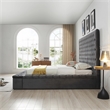 Cosmopolitan Queen Velvet Tufted Upholstered Storage Platform Bed in Gray