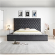 Cosmopolitan Queen Velvet Tufted Upholstered Storage Platform Bed in Gray