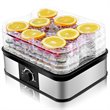 Costway 5-tray Contemporary Stainless Steel Food Dehydrator in Black