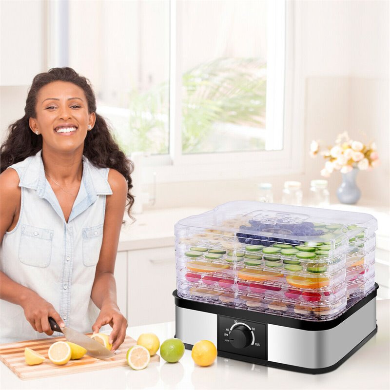 Costway 5-tray Contemporary Stainless Steel Food Dehydrator in Black