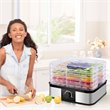 Costway 5-tray Contemporary Stainless Steel Food Dehydrator in Black