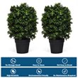 Costway PP and PE Artificial Boxwood Topiary Ball Tree in Green (Set of 2)