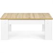 Costway Wood Lift Top Coffee Table with Hidden Compartment & Shelf in White