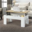 Costway Wood Lift Top Coffee Table with Hidden Compartment & Shelf in White