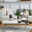 Costway Engineered Wood Coffee Table with Drawer and Storage Shelf in Oak