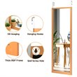 Costway Full Length Wall Mounted Decor Wood Frame Hanging Door Mirror in Gold