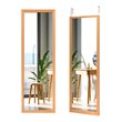 Costway Full Length Wall Mounted Decor Wood Frame Hanging Door Mirror in Gold
