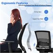 Costway Sponge Adjustable Mid Back Mesh Office Chair w/ Lumbar Support in Black