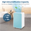 9 Pint(DOE) Portable Dehumidifier with 3 Modes 2500 Sq.ft Coverage Area Blue