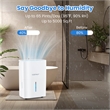22.5 Pint(DOE) Energy Star Dehumidifier with 2 Modes 5000 Sq.ft Coverage Area White Plastic